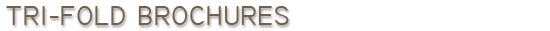 Reflective Digital Solutions business cards pricing